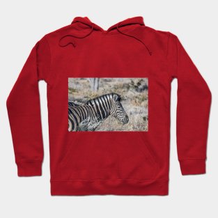 Namibia. Etosha National Park. Zebra. Hoodie